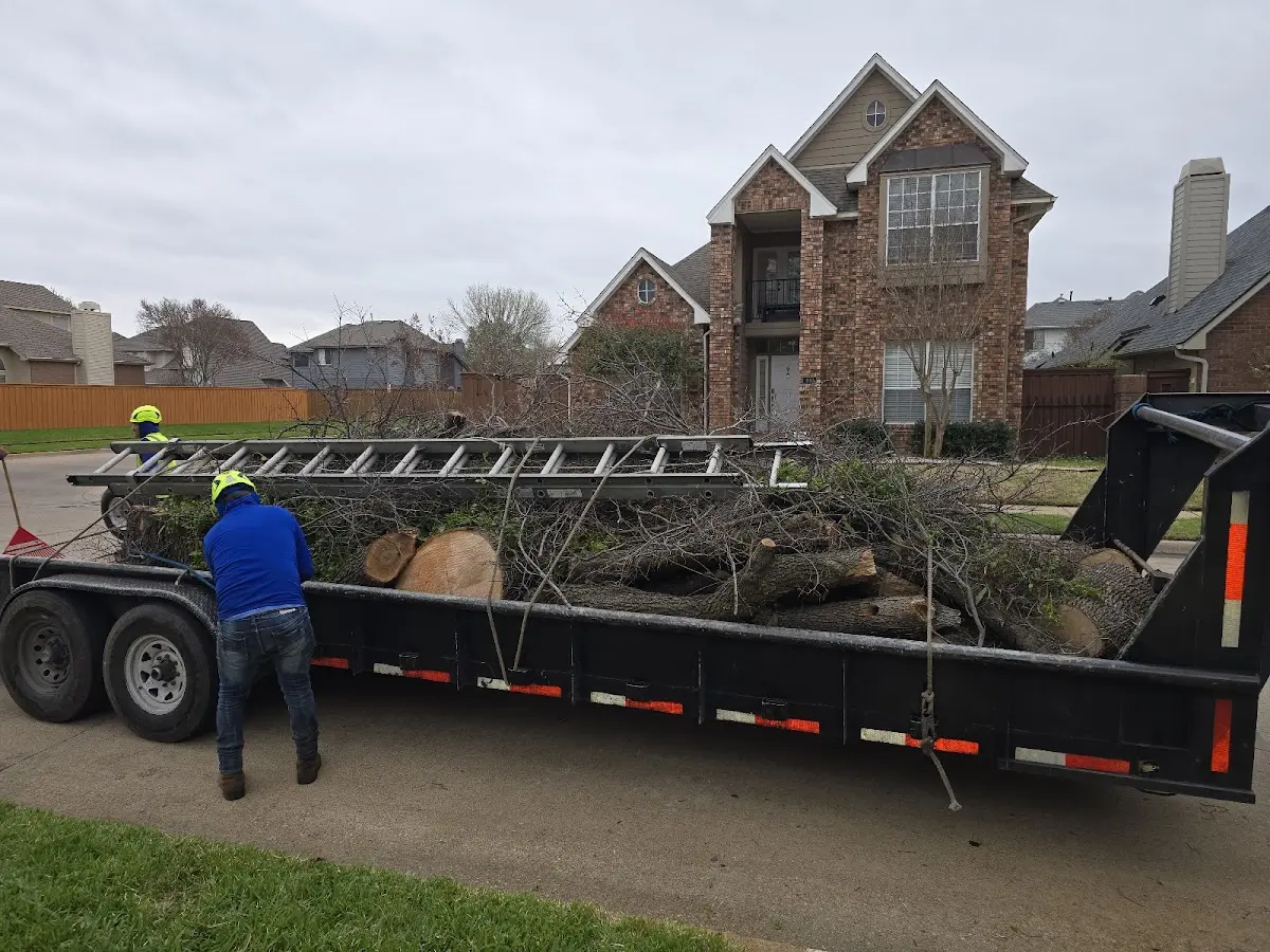 Expert Tree Fertilization with proper safety equipment in Solon Springs